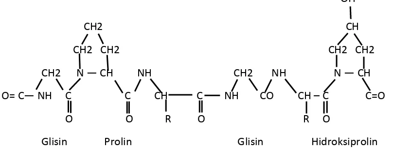 Gambar 1. Struktur kimia gelatin (Poppe, 1992) 