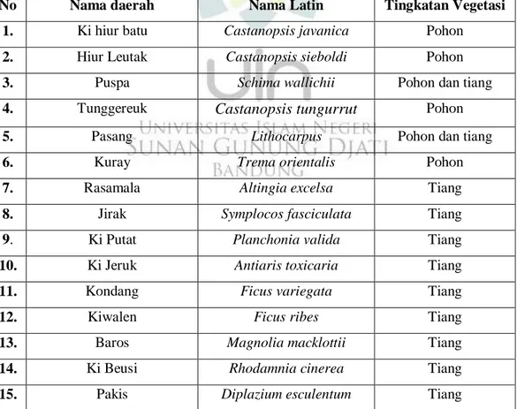 Tabel 4.1 Jenis Tumbuhan yang ditemukan di Kawasan Cibuni. 