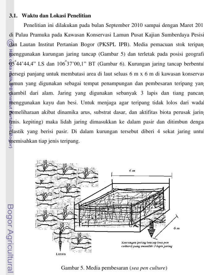 Gambar 5. Media pembesaran (sea pen culture) 