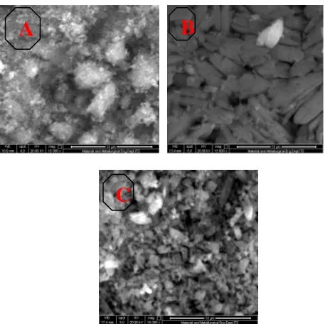 Gambar 6. Hasil SEM pelet variasi kecepatan (a)600 rpm (b)700 rpm (c)800  rpm perbesaran 15000 x 