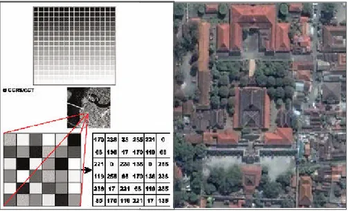 Gambar 2.  Struktur data raster dan Citra satelit Quick Bird 