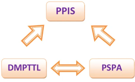 Gambar hubungan antara program teknis (PPIS) dengan program generik   (DMPTTL, dan PSPA) 