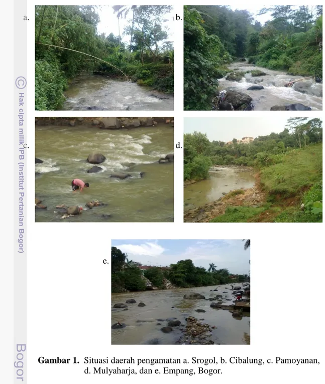 Gambar 1.  Situasi daerah pengamatan a. Srogol, b. Cibalung, c. Pamoyanan,     d. Mulyaharja, dan e