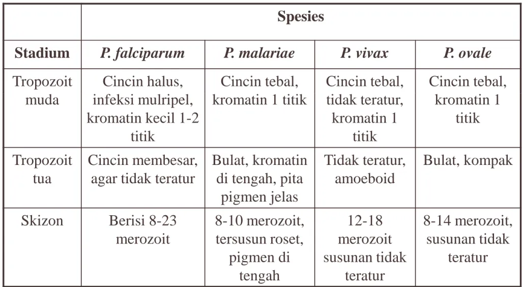 Tabel perbedaan morfologis parasit 