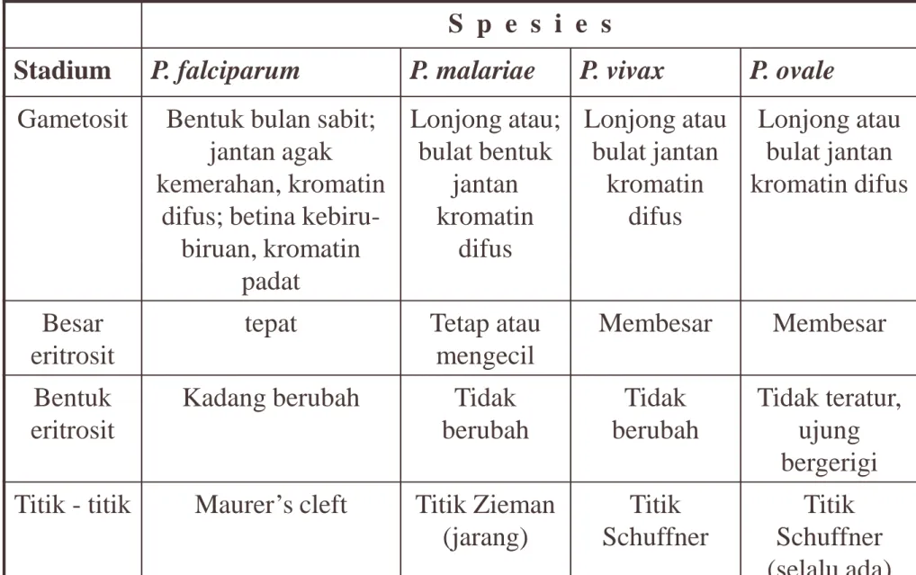 Tabel Perbedaan morfologis (lanjutan)