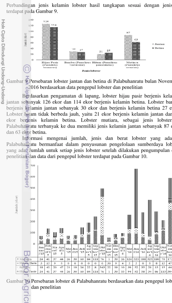Gambar 10 Persebaran lobster di Palabuhanratu berdasarkan data pengepul lobster  dan penelitian 