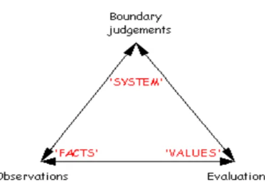 Gambar 2 Triangulasi Sistemik 