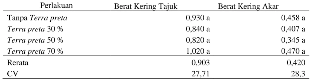 Tabel 8. Berat Kering Tajuk Dan Berat Kering Akar Bibit Kelapa Sawit Pre Nursery Dengan  Perlakuan Terra preta Pada Media Tanam 