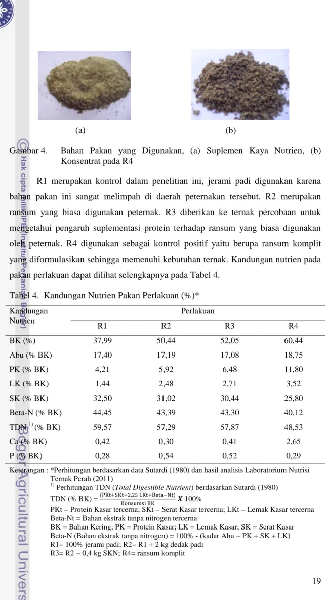 Gambar 4.    Bahan  Pakan  yang  Digunakan,  (a)  Suplemen  Kaya  Nutrien,  (b)  Konsentrat pada R4 