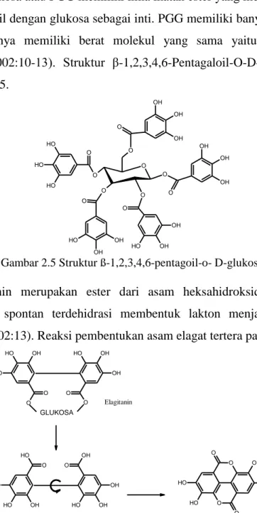 Gambar 2.5 Struktur ß-1,2,3,4,6-pentagoil-o- D-glukosa 