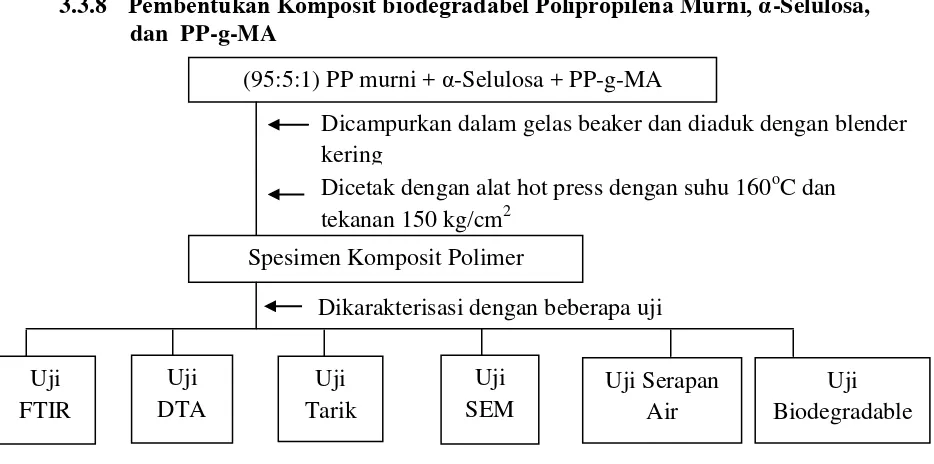 Gambar 3.9   Pembentukan Komposit biodegradabel Polipropilena Murni,   α-Selulosa, dan  PP-g-MA 