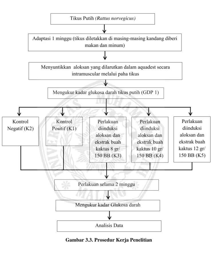 Gambar 3.3. Prosedur Kerja Penelitian 