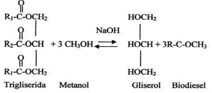 Gambar 2.7 Reaksi transesterifikasi 