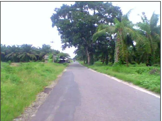 Gambar 7. Kondisi Jalan Desa yang berlubang dan belum di aspal  di Kecamatan Teluk Mengkudu 
