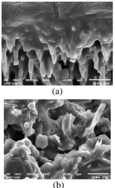 Gambar 2. Endapan Kering Nanopartikel  Analisis  menggunakan  SEM  pada  sampel  yang  memiliki  persen  (%)  nanopartikel  tinggi menunjukkan bentuk permukaan partikel  yang  menyerupai  stalaktit  dan  stalakmit  pada  goa, Gambar 3(a)