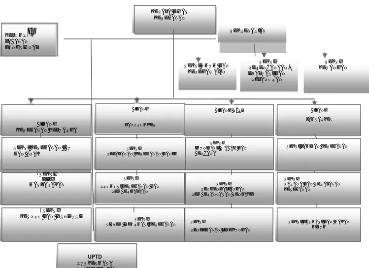 Gambar 1.1 Struktur Organisasi Dinas Kesehatan Kabupaten Merangin