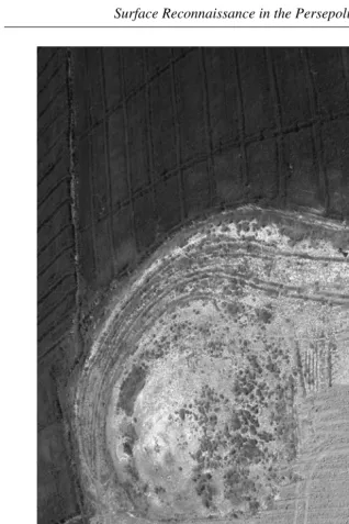 Fig. 5 (90° rotated counterclockwise). An example of a tepe  