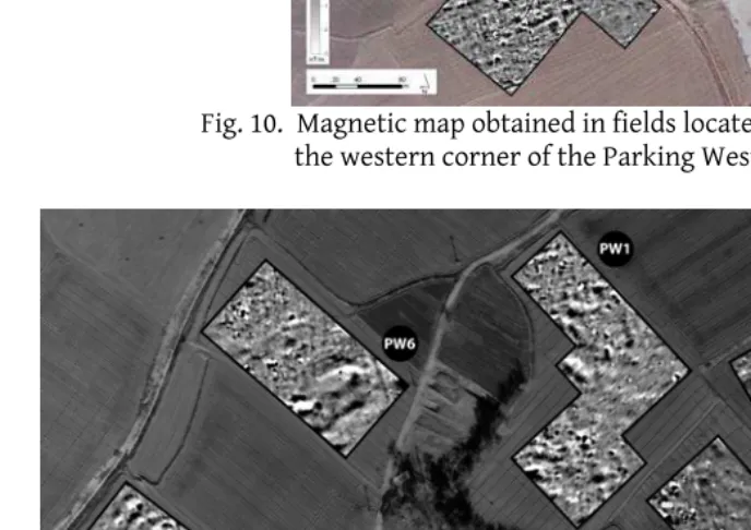 Fig. 11. Magnetic map obtained in fields located where W. Sumner  