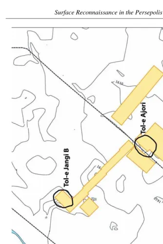 Fig. 13. Surfaces surveyed with the magnetic method in the Firuzi area. 
