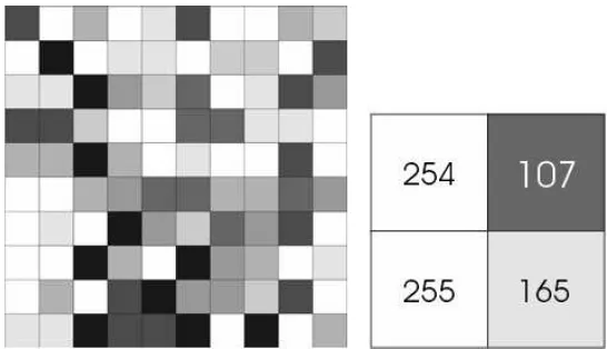 Gambar 2.4 : Array dari piksel warna dalam baris dan kolom
