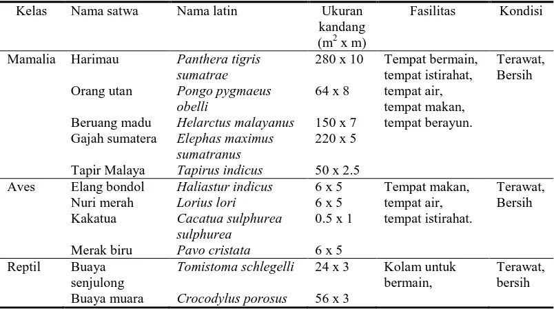 Tabel 11. Kondisi kandang TMS.BK Kelas Nama satwa Nama latin 