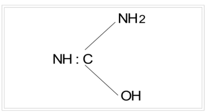Gambar 6.4. Struktur senyawa urea