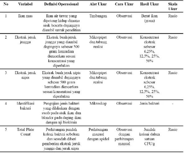Tabel 3.1 Definisi Operasional 