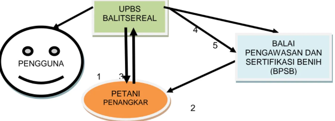 Gambar 1. Sistem kelembagaan penangkaran  benih sumber di Kabupaten Takalar, 2013 