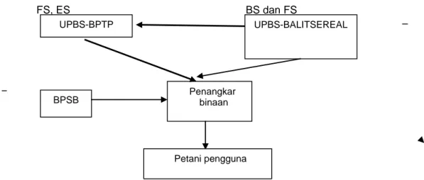 Gambar 3.  Pengembangan sistem produksi dan distribusi benih usulan Balitsereal, 2013 