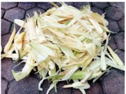 Gambar 1. Kulit jagung yang akan diolah 