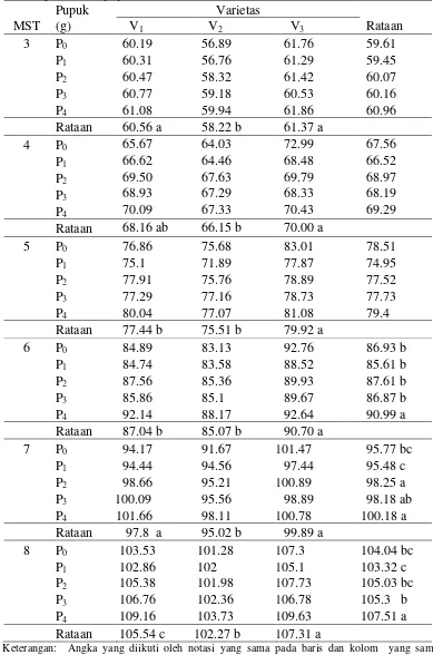 Tabel 1. Tinggi tanaman padi (cm) umur 3-8 MST pada beberapa varietas dan pemberian pupuk NPK 