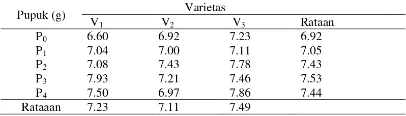 Tabel 6. Persentase gabah hampa per rumpun padi (%)pada beberapa varietas dan pemberian pupuk NPK  