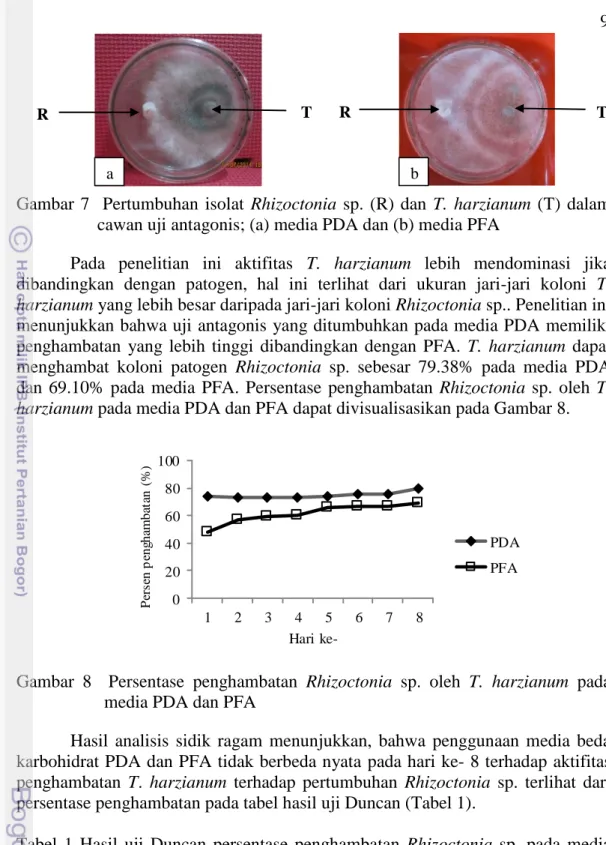 Gambar  8    Persentase  penghambatan  Rhizoctonia  sp.  oleh  T.  harzianum  pada  media PDA dan PFA 