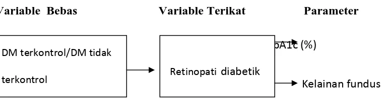 Gambar 1.1   Kerangka pikir penelitian