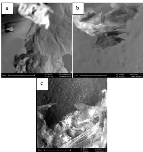 Gambar 8. Hasil Pengamatan SEM pada temperatur hydrothermal 160ᵒC pada penambahan reduktor Zn (A) 0,8 gram (B) 1,6 gram, (C) 2,4 gram dengan perbesaran 10000X 