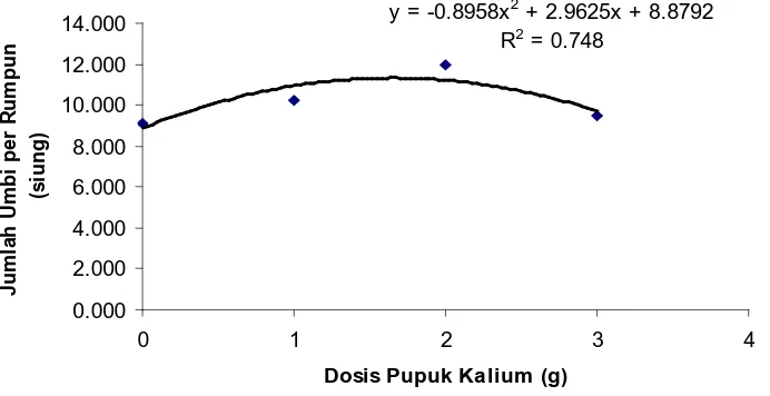 Gambar 3. Hubungan antara parameter jumlah umbi per rumpun (suing) dengan dosis pupuk kalium