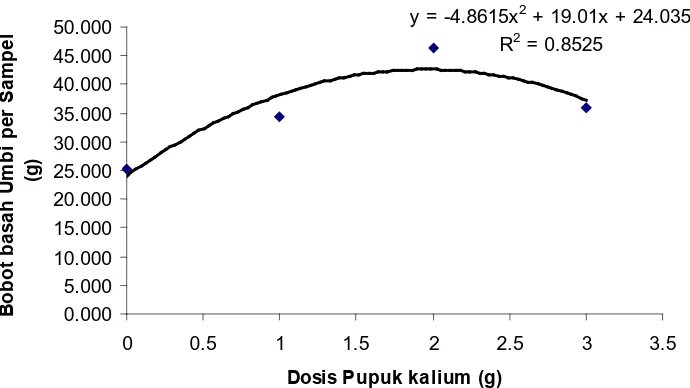 Gambar 5.  Hubungan antara parameter bobot basah umbi per sample dengan dosis pupuk kalium