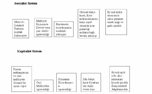 Şekil 1. 1 Sosyalist ve Kapitalist Sistem Arasındaki Farklar 