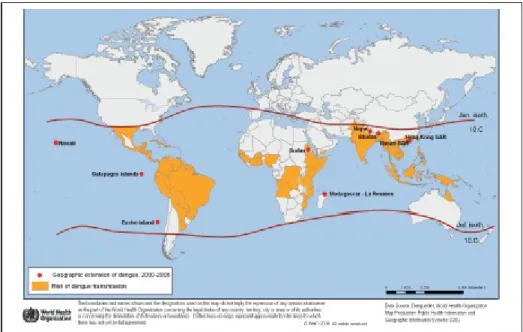Gambar 1.1 Negara dengan resiko transmisi dengue (WHO, 2011)