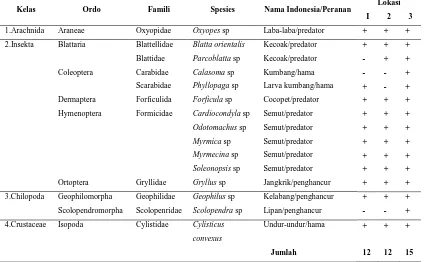 Tabel 4.1 Makroarthropoda Tanah yang Ditemukan pada Tiga Lokasi Penelitian 
