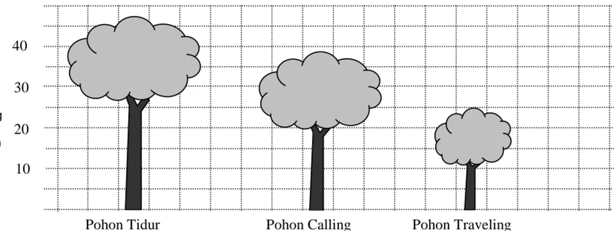 Gambar  1.    Sketsa  ukuran  tinggi  puncak,  bebas  cabang  dan  lebar  kanopi  pohon  yang  digunakan  siamang 