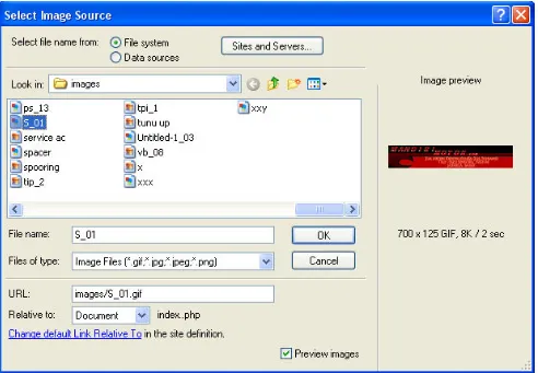 Gambar 3.17  Tampilan Image dalam Dreamweaver 8.0 