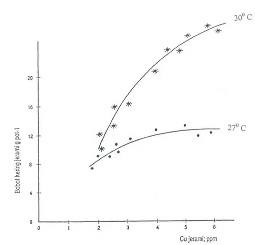 Gambar V.1.  Hubungan  antara  bobot  kering  jerami  dan  Cu  jerami  tanaman  gandum yang ditanam pada dua suhu percobaan selama 6 minggu