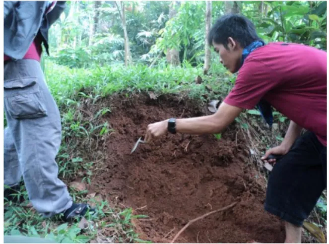 Gambar 5 Lokasi Plot 1