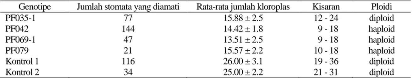 Tabel 4. Rataan dan kisaran jumlah kloroplas pada sel penjaga stomata enam genotipe Dianthus cinensis Genotipe  Jumlah stomata yang diamati  Rata-rata jumlah kloroplas  Kisaran  Ploidi 