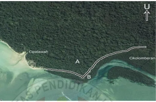 Gambar 3.1 Foto Satelit Leuweung Sancang Garut (Google Earth, 2012).  Hutan pantai (A)