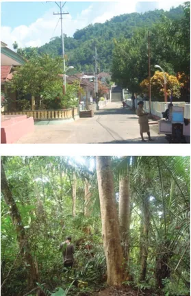 Gambar  2. Peta P enutupan Hutan Lahan Hasil  Klasifikasi Terselia Kecamatan Saparua, 2002.