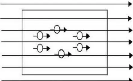 Gambar 2. Arah domain dalam bahan paramagnetic setelah diberi medan magnet luar 