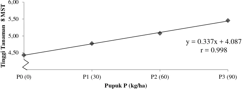 Gambar 1. Tinggi tanaman (cm) kacang bogor 8 MST terhadap pupuk P (kg/ha) 