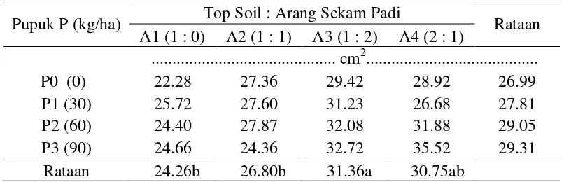 Tabel 5. Total luas daun tanaman kacang bogor 7 MST (cm2) pada pemberian pupuk P dan arang sekam padi 